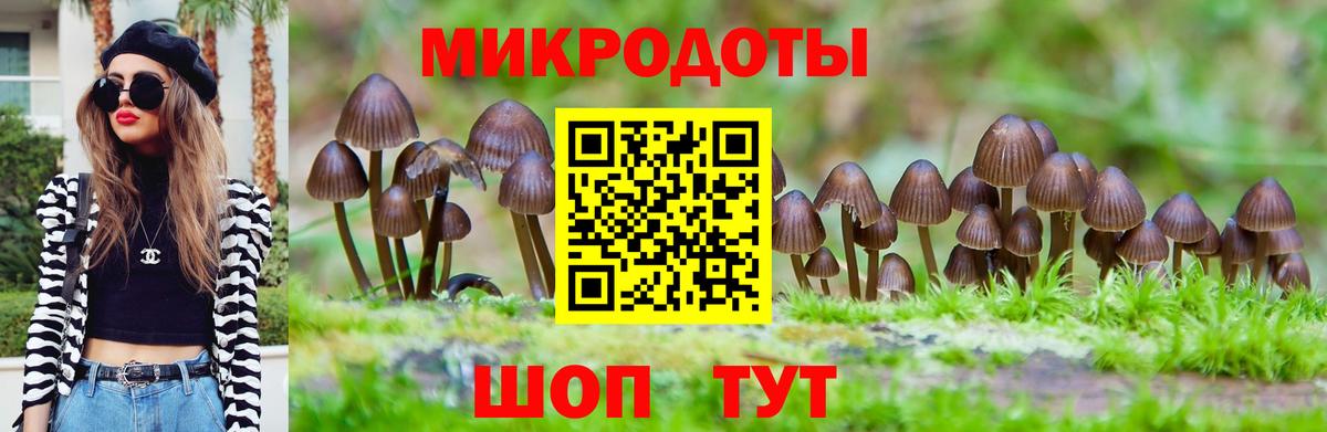 Псилоцибиновые грибы Psilocybine cubensis  Псилоцибиновые грибы Psilocybine cubensis  Джанкой  Вход с VPN 